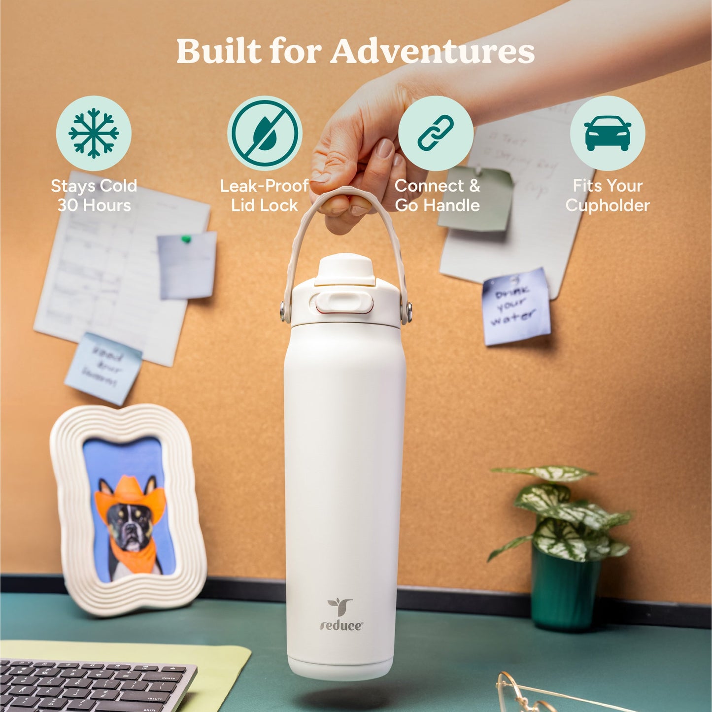 aura-26-oz-q1 Aura_26oz_LilacBud_PDP_Infographic_1-23.jpg