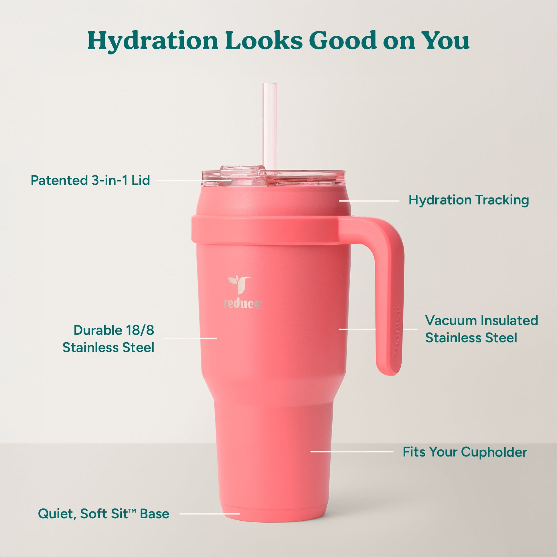 cold1-40-oz-g9 Cold1_40oz_Daiquiri_Infographic_2.jpg