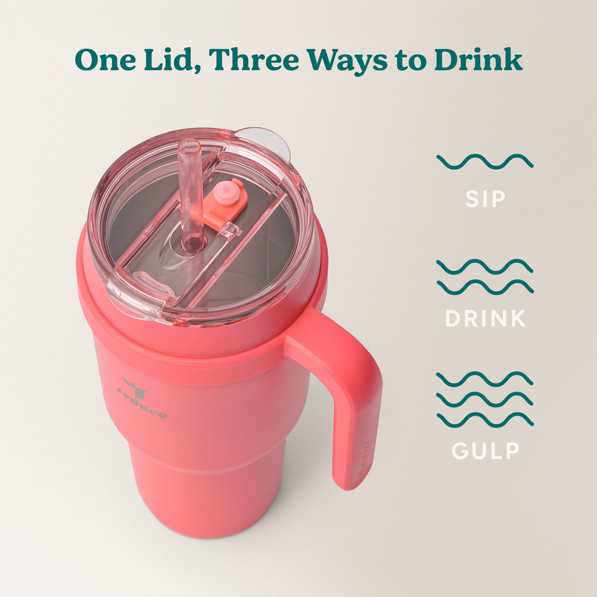 cold1-40-oz-g9 Cold1_40oz_Daiquiri_Infographic_3.jpg