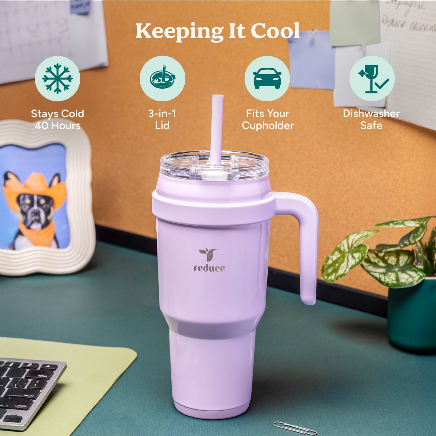 cold1-40-oz-g9 Cold1_40oz_OahuBlue_Infographic_1.jpg