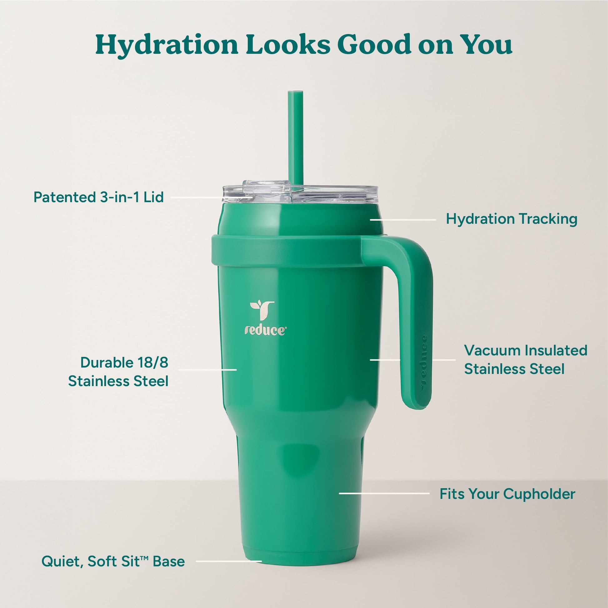 cold1-40-oz-g9 Cold1_40oz_PalmLeaf_Infographic_2.jpg
