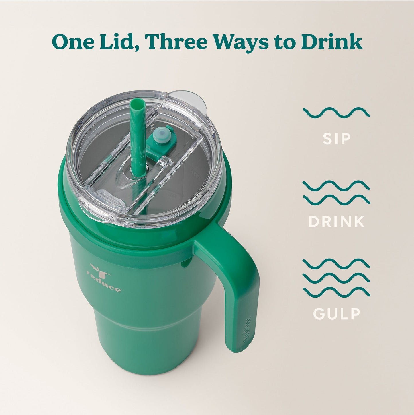 cold1-40-oz-g9 Cold1_40oz_PalmLeaf_Infographic_3.jpg