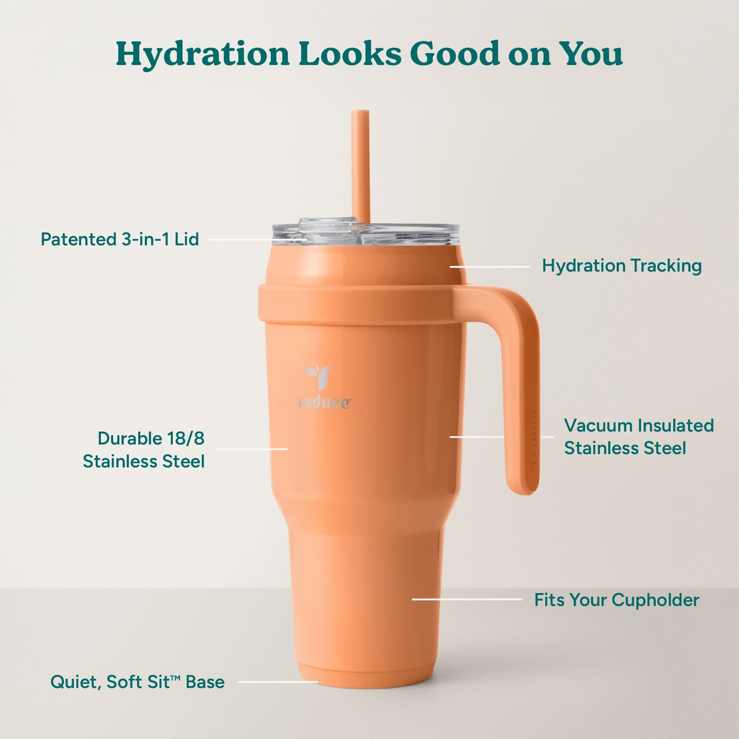 cold1-40-oz-g9 Cold1_40oz_Papaya_Infographic_2.jpg