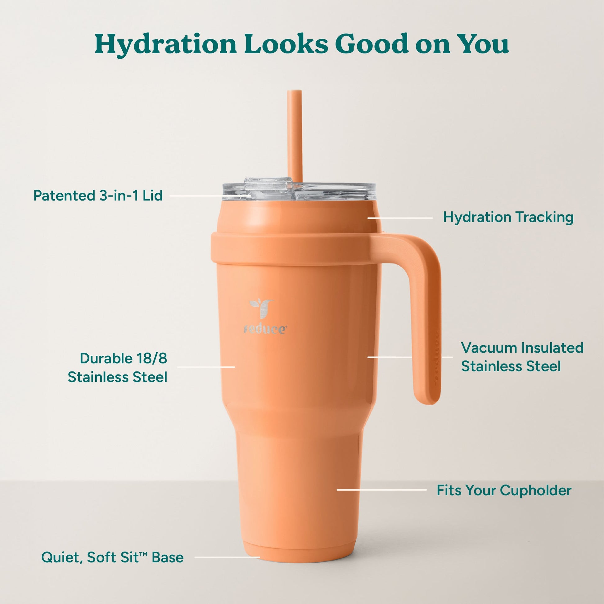 cold1-40-oz-g9 Cold1_40oz_Papaya_Infographic_2.jpg