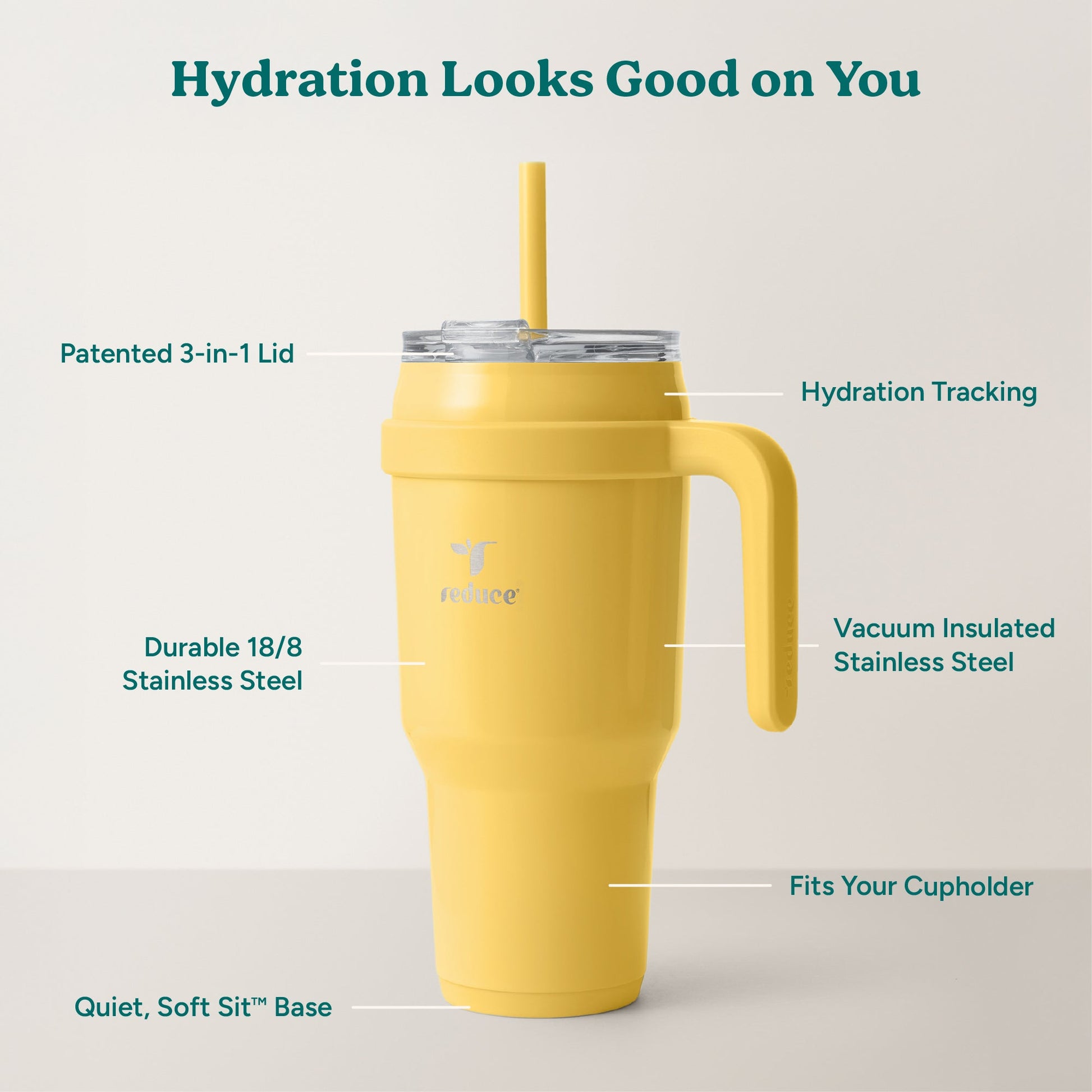 cold1-40-oz-g9 Cold1_40oz_Pineapple_Infographic_2.jpg